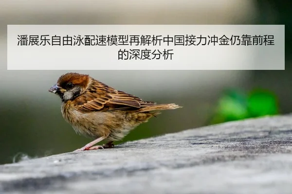 潘展乐自由泳配速模型再解析中国接力冲金仍靠前程的深度分析